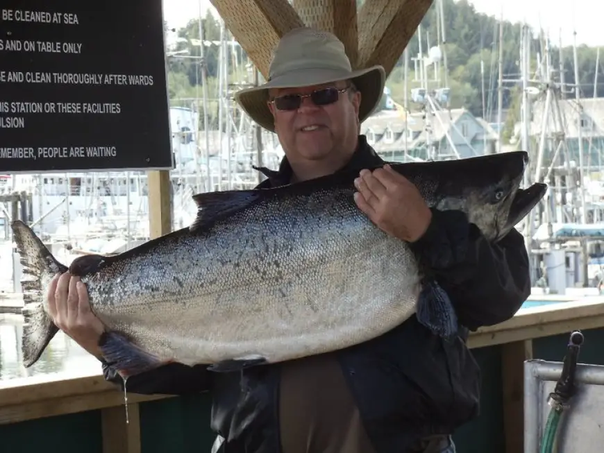 roydawe50lbs